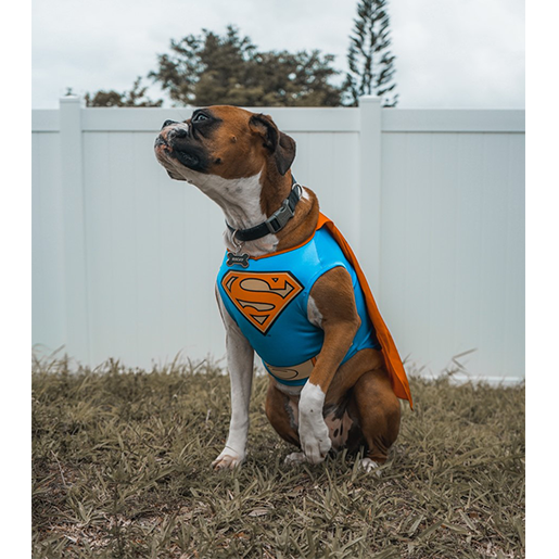 Superhund